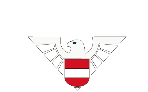 Walisch & Partner - Berufsdetektive - Sicherheitsunternehmen